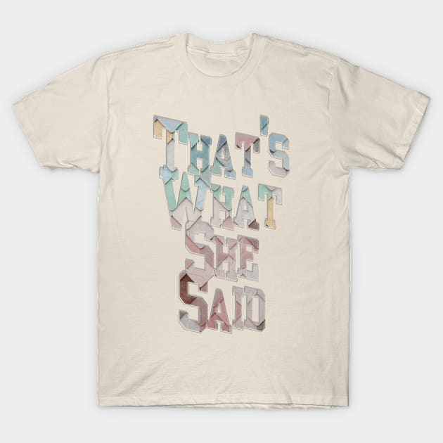 That's What She Said T-Shirt by afternoontees